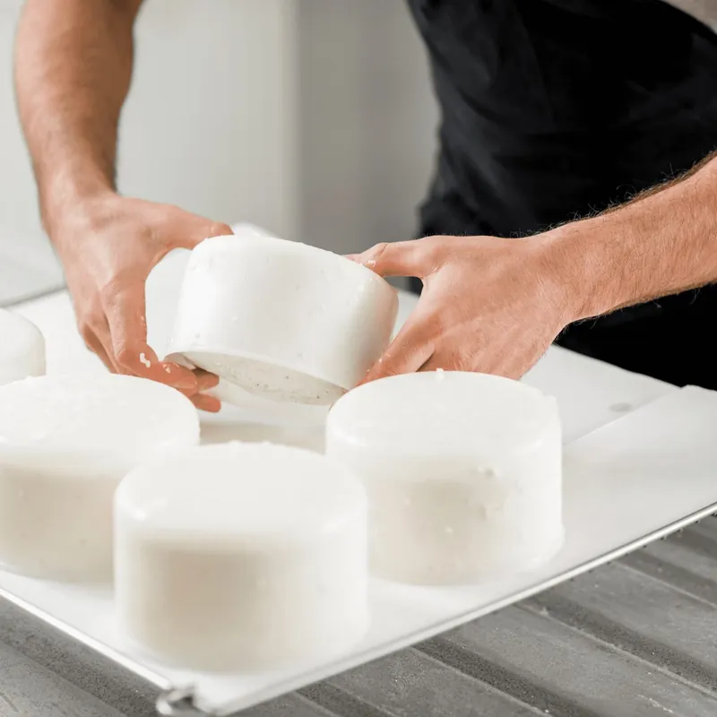 Fromages frais maison dans leurs faisselles